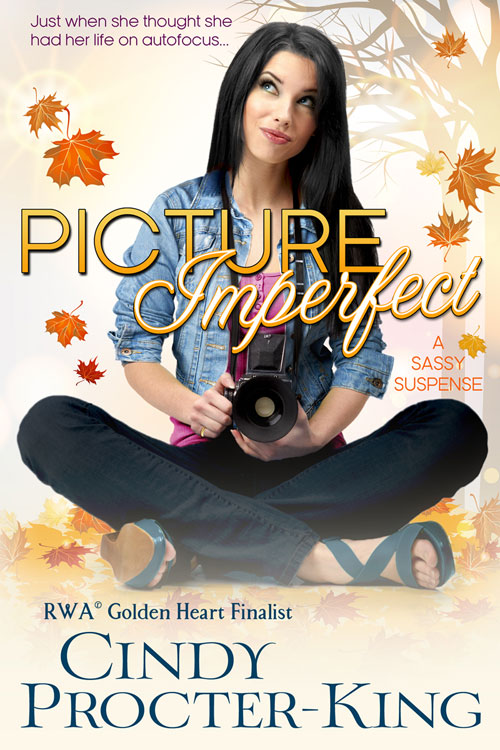 Picture Imperfect eBook Cover Large