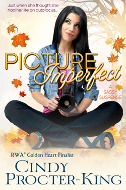 Picture Imperfect Cover